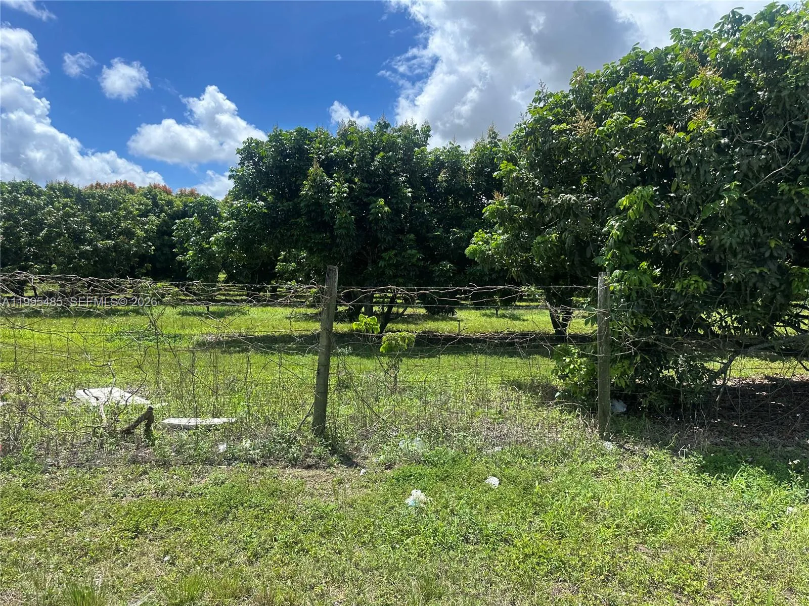 Sw 344 St., Homestead, Florida 33034, Homestead, Florida 33034, ,Land,For Sale,Sw 344 St., Homestead, Florida 33034,A11995485