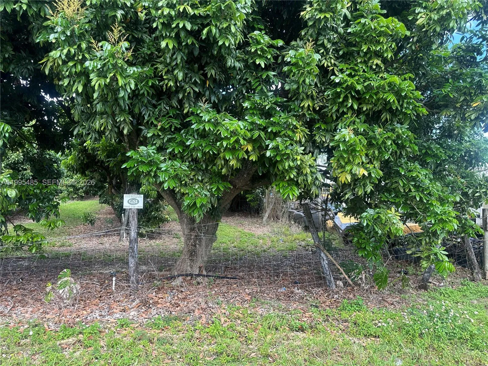 Sw 344 St., Homestead, Florida 33034, Homestead, Florida 33034, ,Land,For Sale,Sw 344 St., Homestead, Florida 33034,A11995485