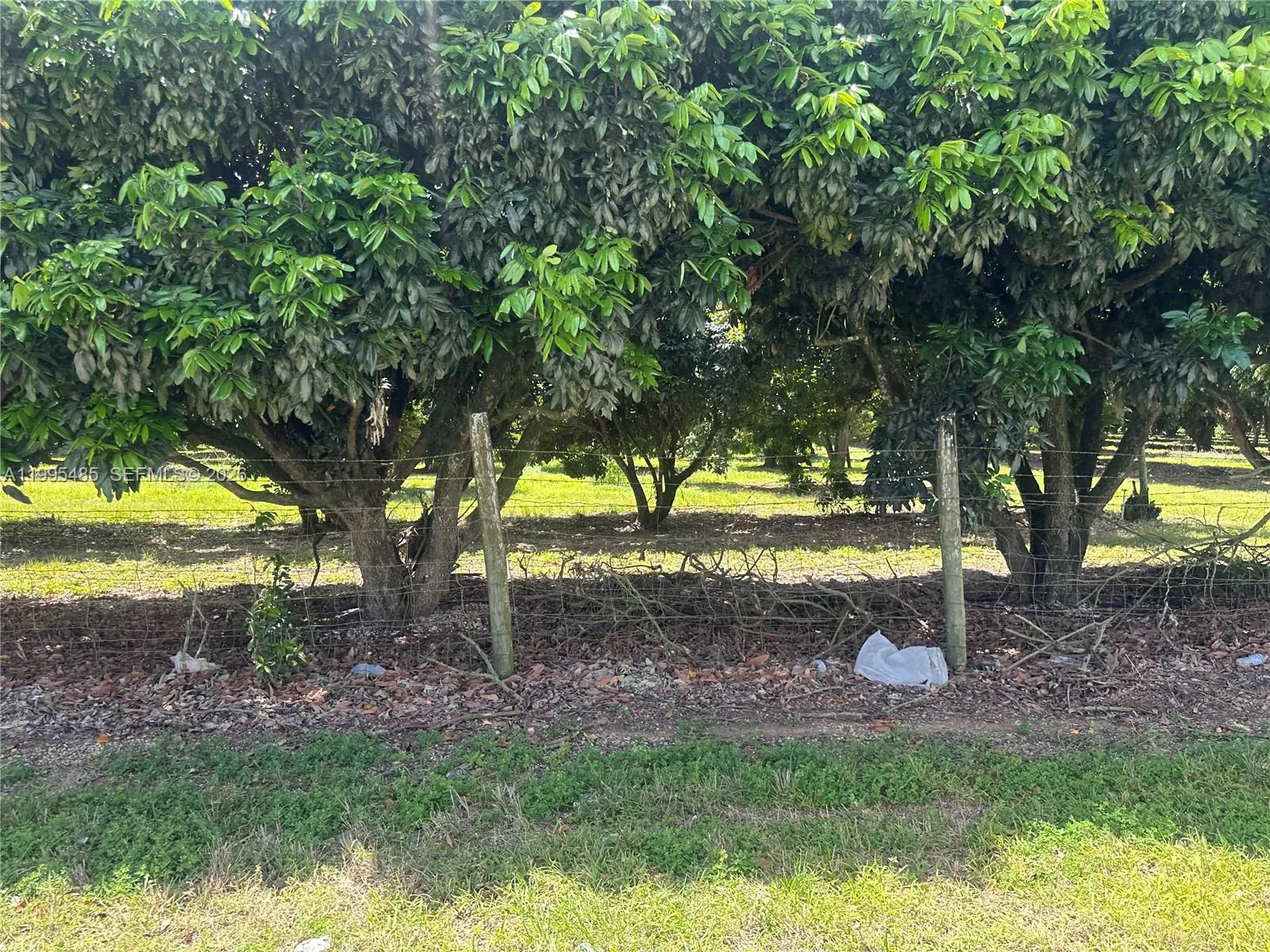 Sw 344 St., Homestead, Florida 33034, Homestead, Florida 33034, ,Land,For Sale,Sw 344 St., Homestead, Florida 33034,A11995485