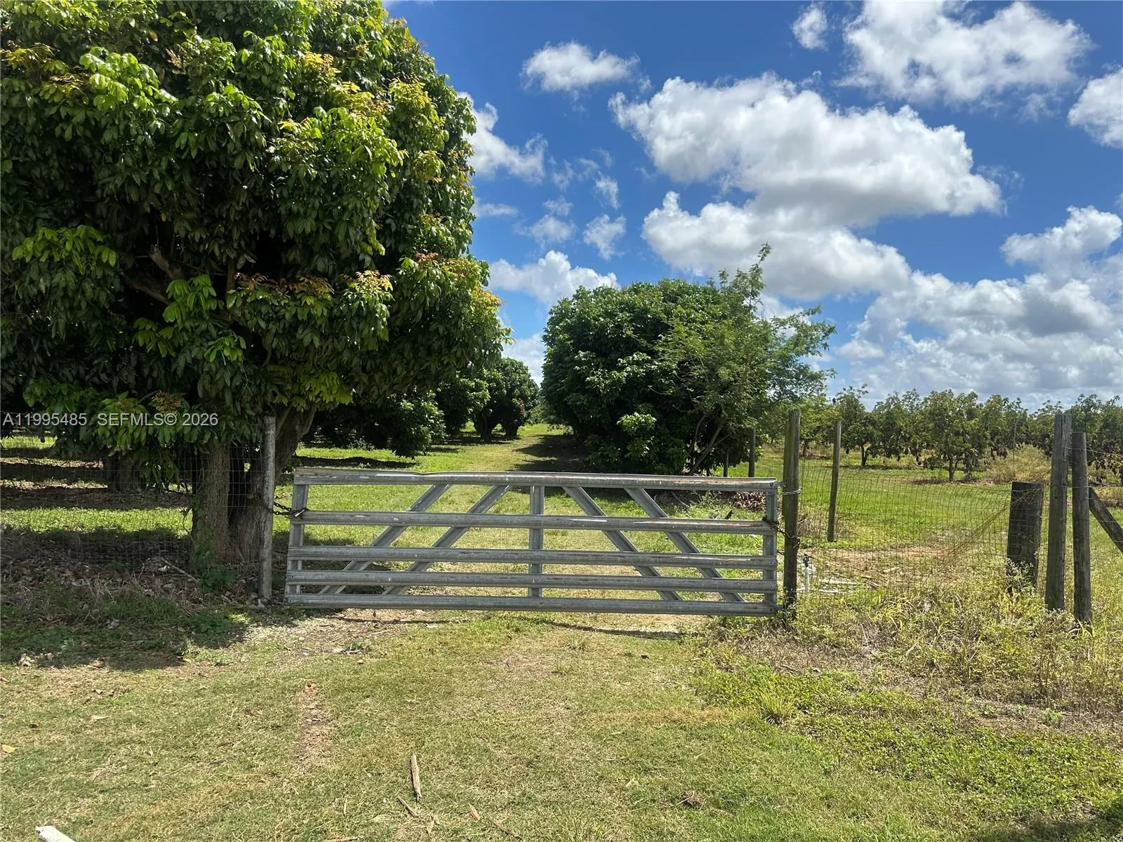 Sw 344 St., Homestead, Florida 33034, Homestead, Florida 33034, ,Land,For Sale,Sw 344 St., Homestead, Florida 33034,A11995485