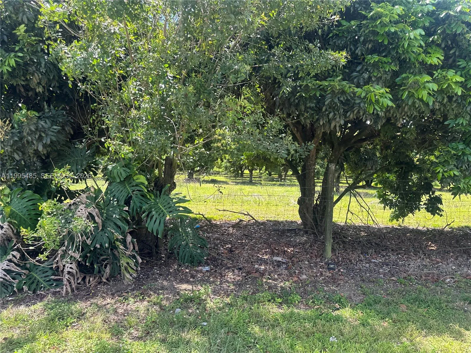 Sw 344 St., Homestead, Florida 33034, Homestead, Florida 33034, ,Land,For Sale,Sw 344 St., Homestead, Florida 33034,A11995485