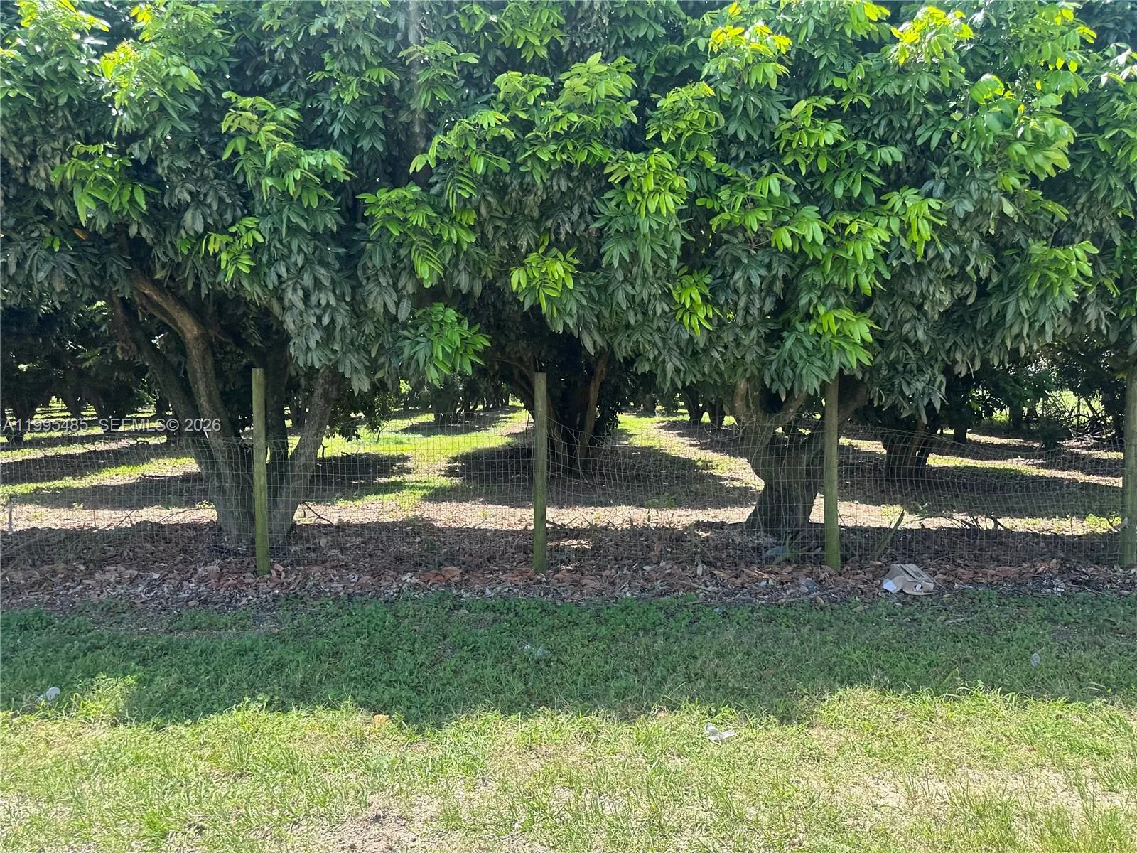 Sw 344 St., Homestead, Florida 33034, Homestead, Florida 33034, ,Land,For Sale,Sw 344 St., Homestead, Florida 33034,A11995485