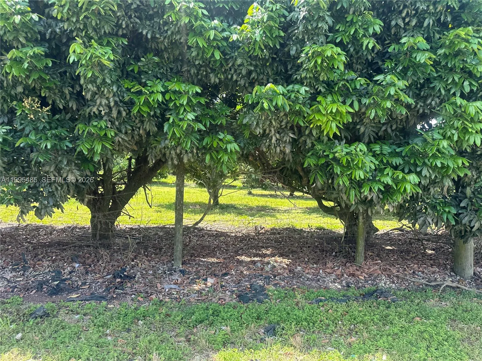 Sw 344 St., Homestead, Florida 33034, Homestead, Florida 33034, ,Land,For Sale,Sw 344 St., Homestead, Florida 33034,A11995485