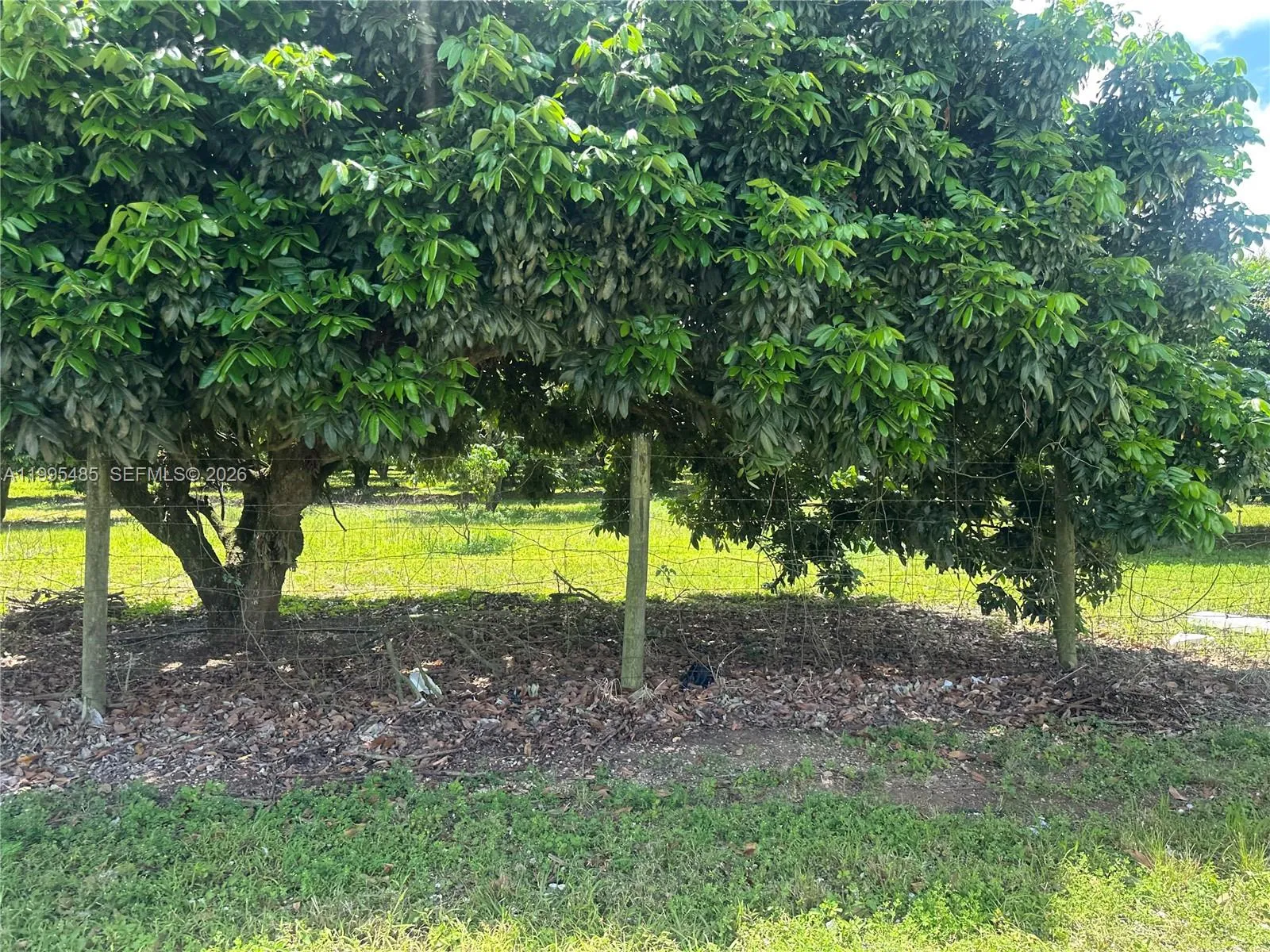 Sw 344 St., Homestead, Florida 33034, Homestead, Florida 33034, ,Land,For Sale,Sw 344 St., Homestead, Florida 33034,A11995485