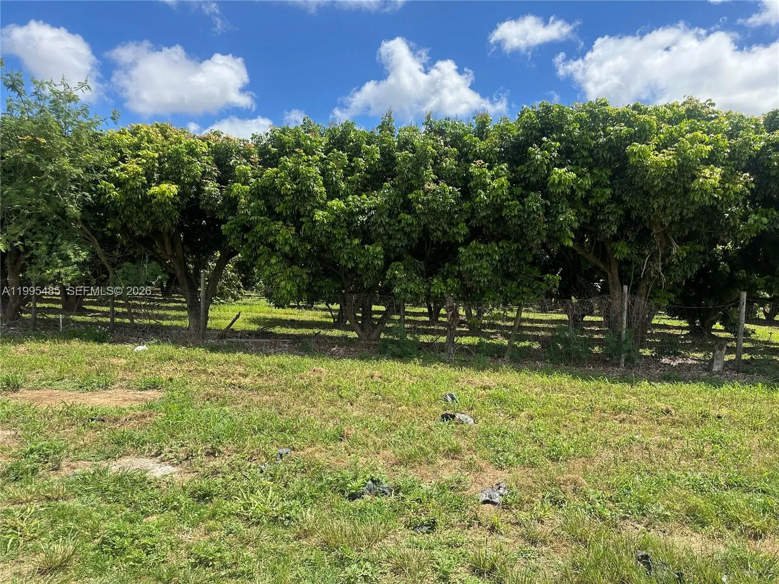 Sw 344 St., Homestead, Florida 33034, Homestead, Florida 33034, ,Land,For Sale,Sw 344 St., Homestead, Florida 33034,A11995485