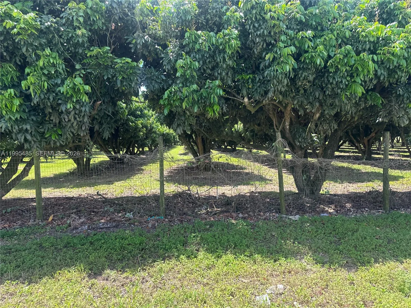 Sw 344 St., Homestead, Florida 33034, Homestead, Florida 33034, ,Land,For Sale,Sw 344 St., Homestead, Florida 33034,A11995485