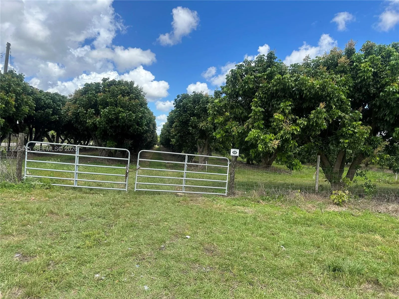 Sw 344 St., Homestead, Florida 33034, Homestead, Florida 33034, ,Land,For Sale,Sw 344 St., Homestead, Florida 33034,A11995485