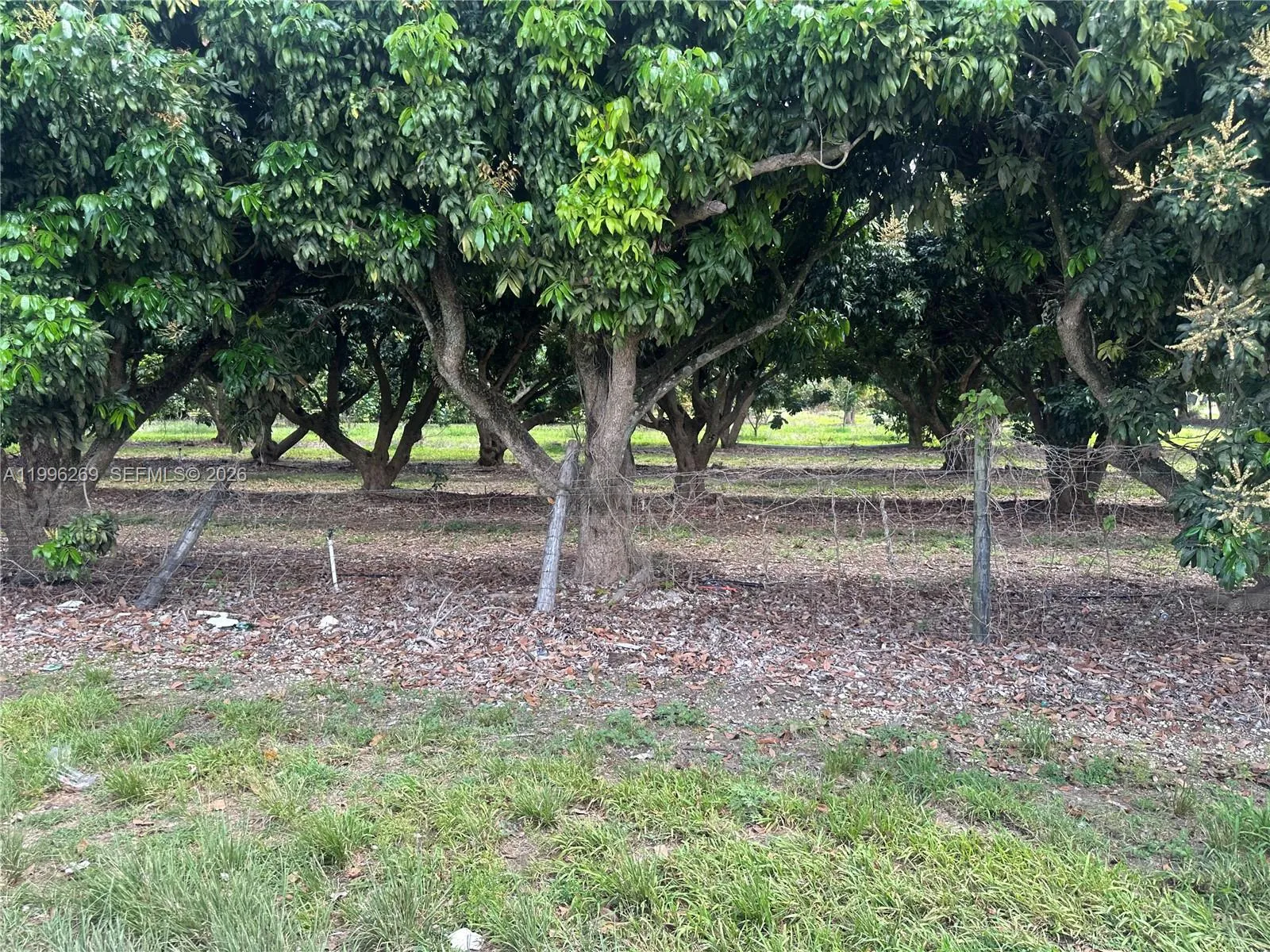 Homestead, Florida 33034, ,Land,For Sale,A11996269