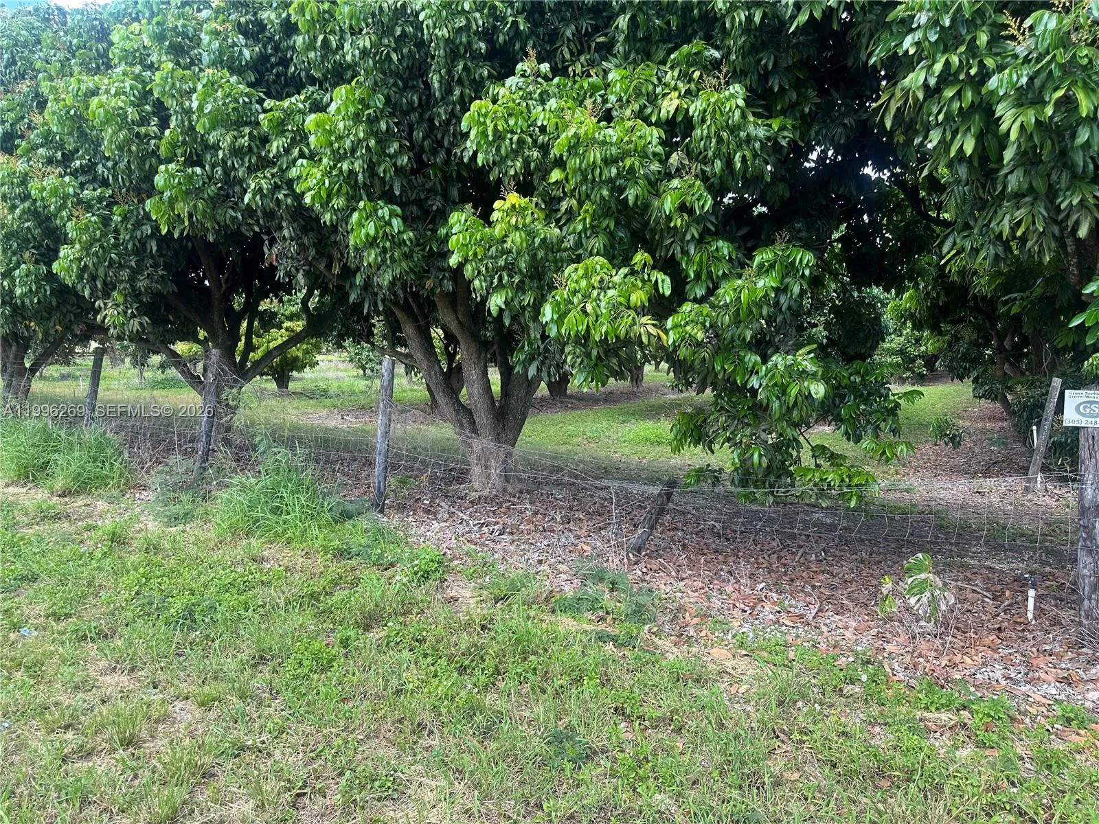 Homestead, Florida 33034, ,Land,For Sale,A11996269