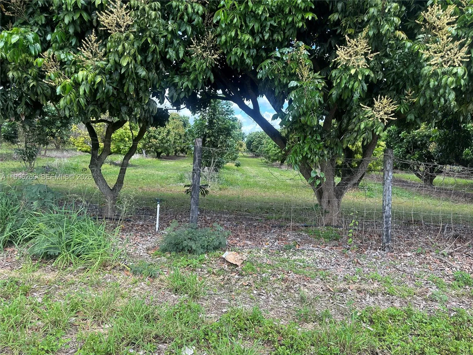 Homestead, Florida 33034, ,Land,For Sale,A11996269