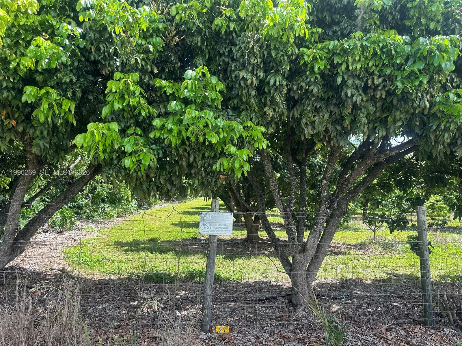 Homestead, Florida 33034, ,Land,For Sale,A11996269