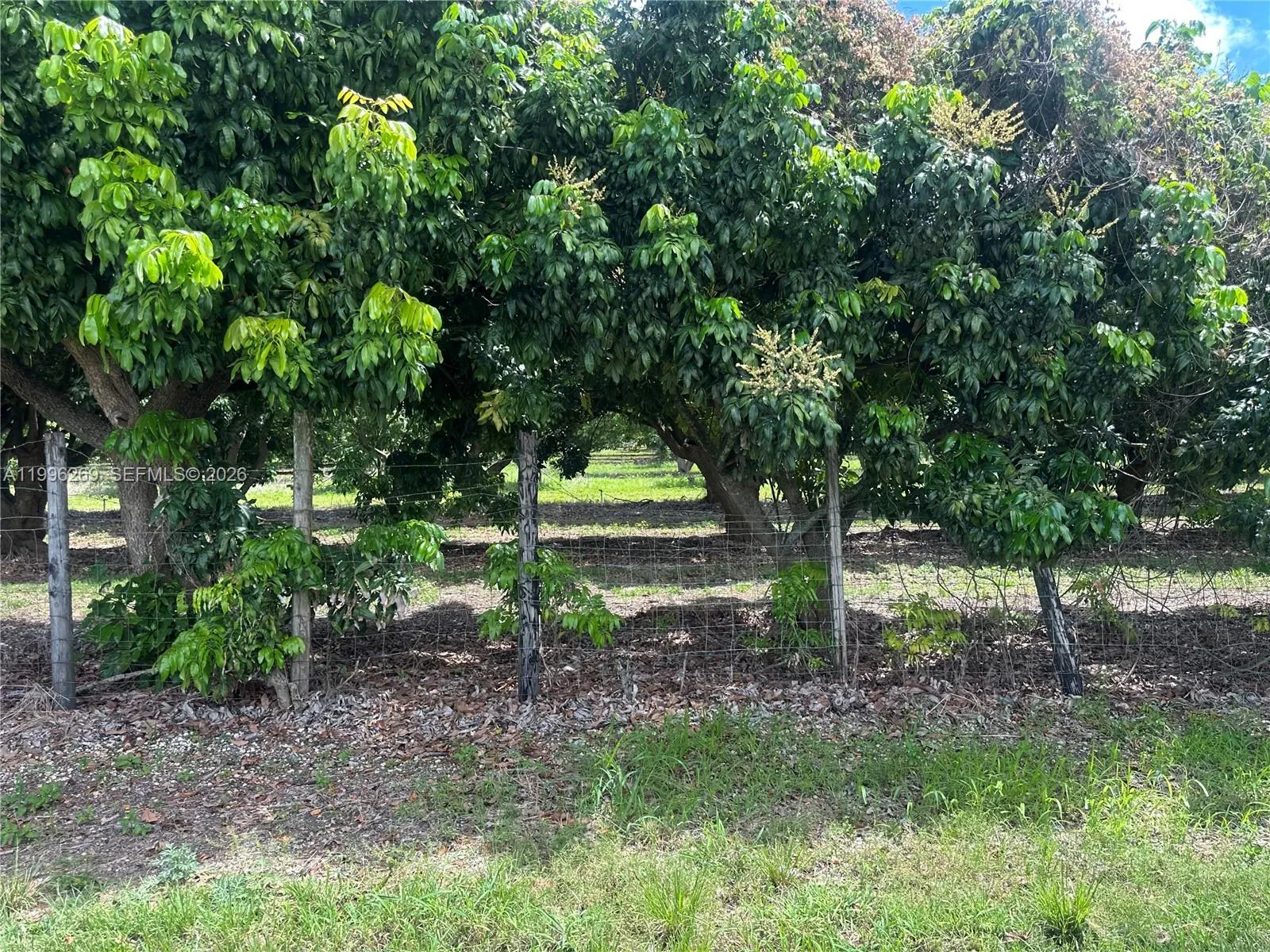 Homestead, Florida 33034, ,Land,For Sale,A11996269