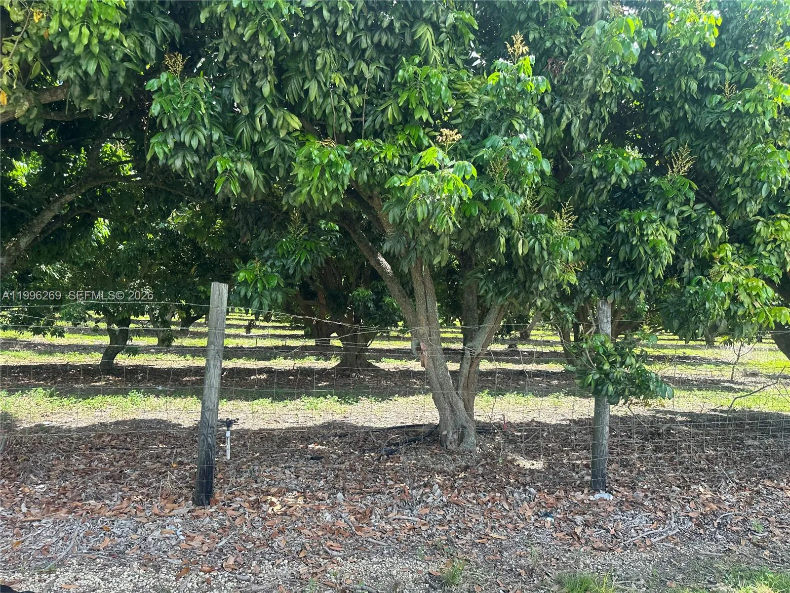 Homestead, Florida 33034, ,Land,For Sale,A11996269