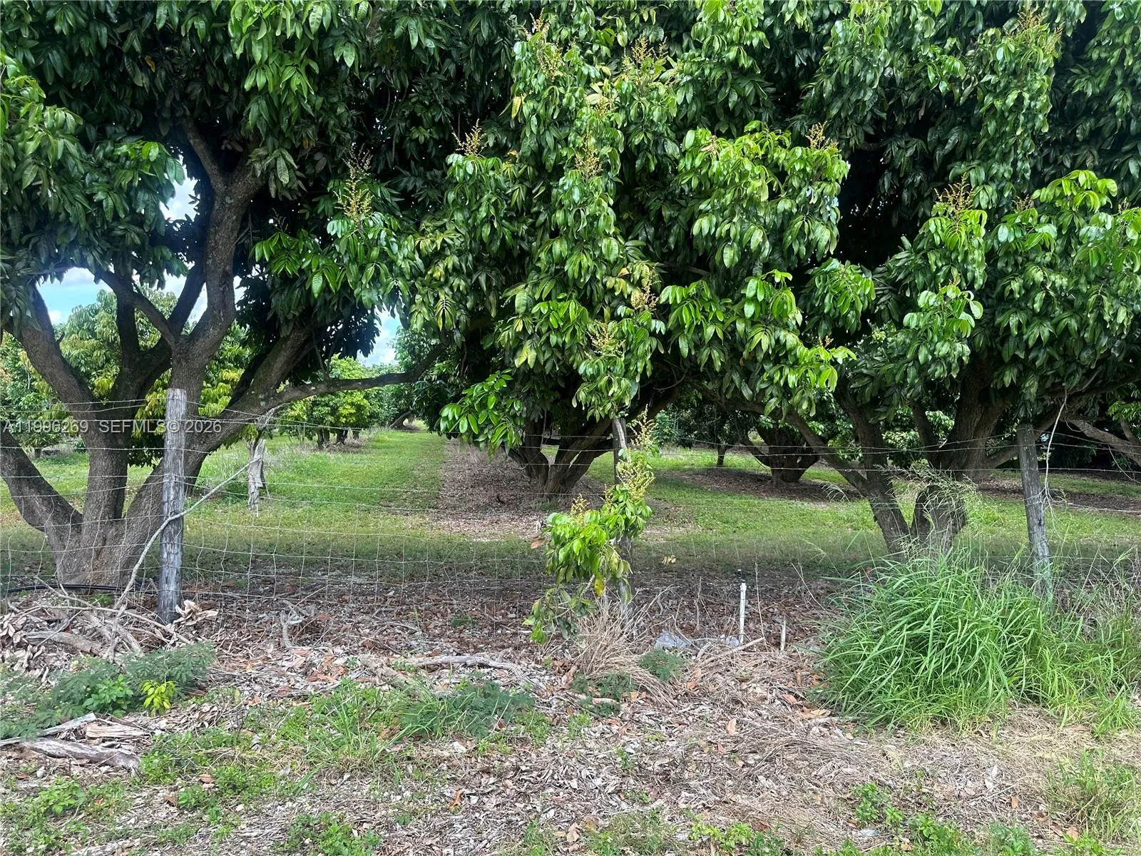 Homestead, Florida 33034, ,Land,For Sale,A11996269