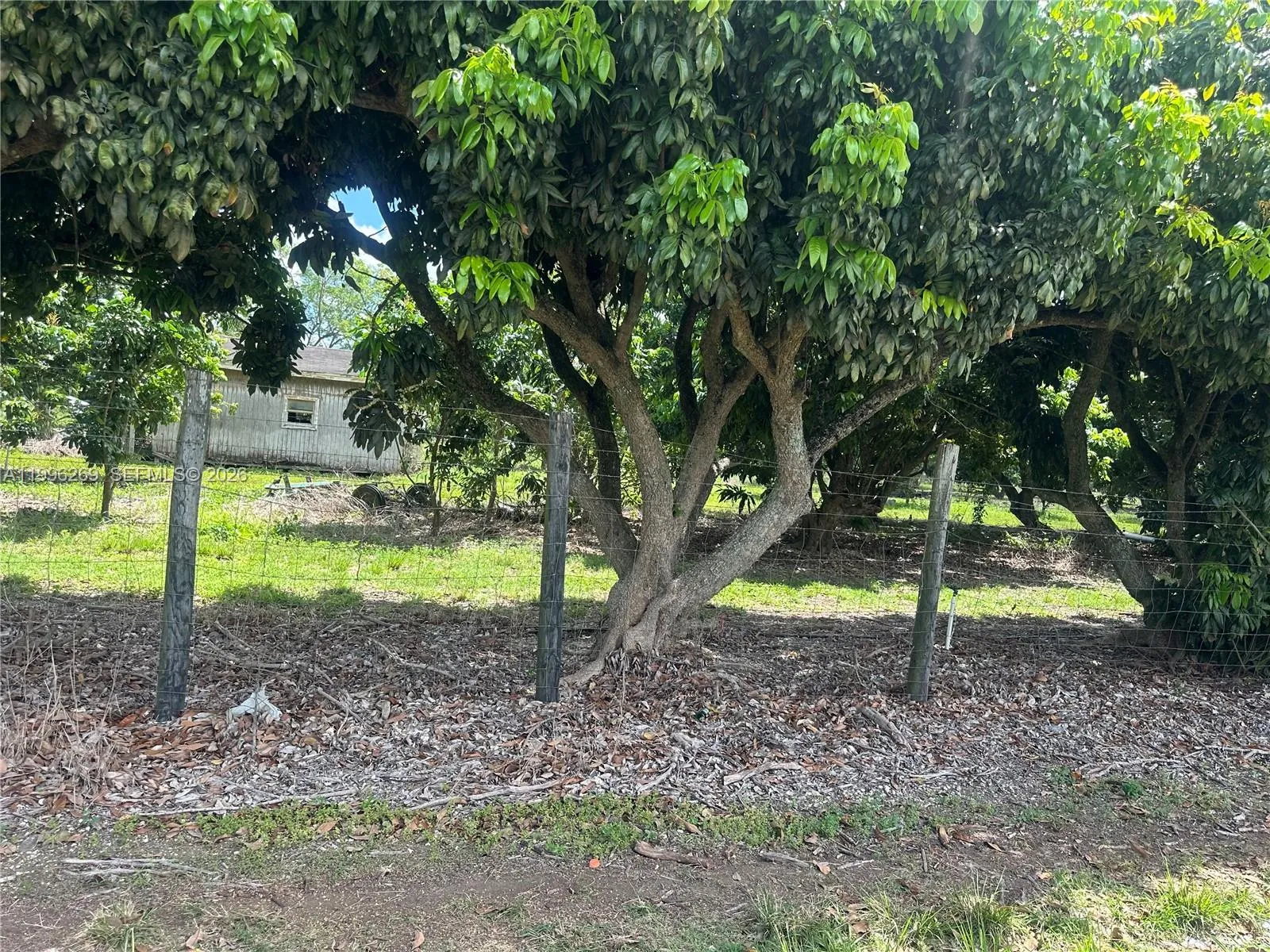 Homestead, Florida 33034, ,Land,For Sale,A11996269