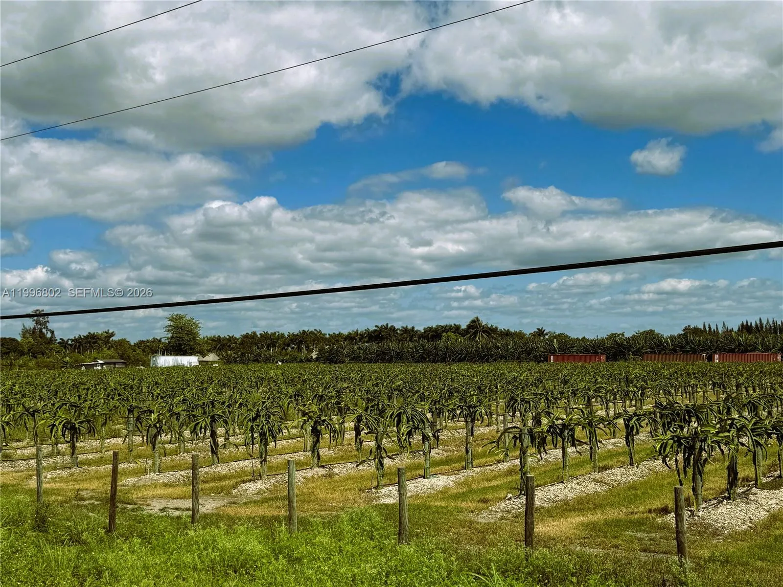 152xx Sw 197th Ave, Miami, Florida 33196, Miami, Florida 33196, ,Land,For Sale,152xx Sw 197th Ave, Miami, Florida 33196,A11996802