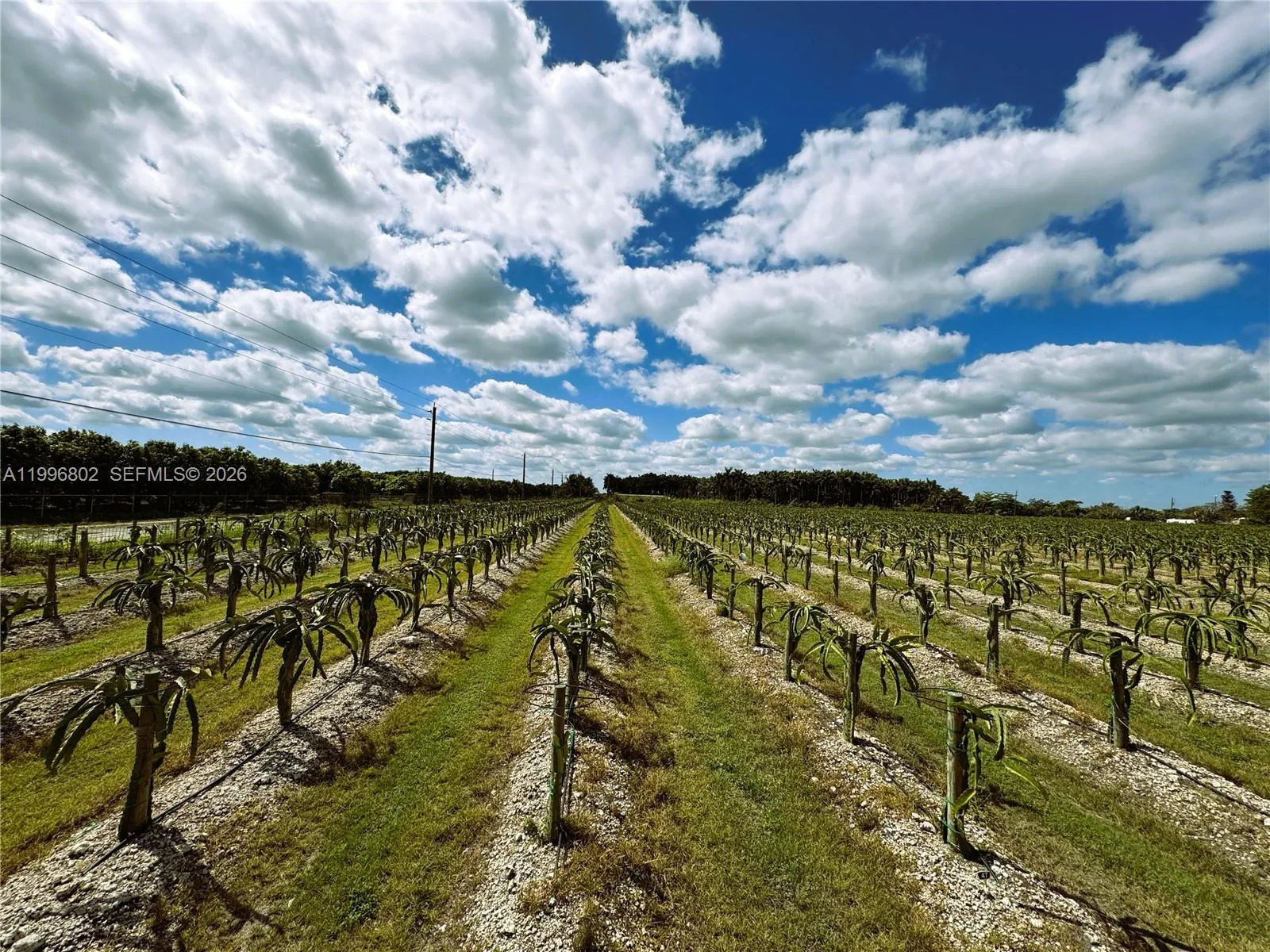 152xx Sw 197th Ave, Miami, Florida 33196, Miami, Florida 33196, ,Land,For Sale,152xx Sw 197th Ave, Miami, Florida 33196,A11996802