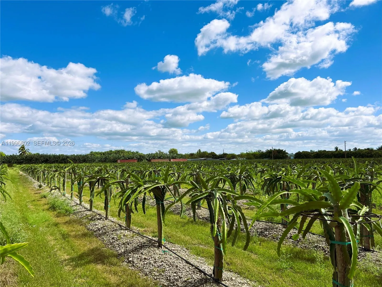 152xx Sw 197th Ave, Miami, Florida 33196, Miami, Florida 33196, ,Land,For Sale,152xx Sw 197th Ave, Miami, Florida 33196,A11996802