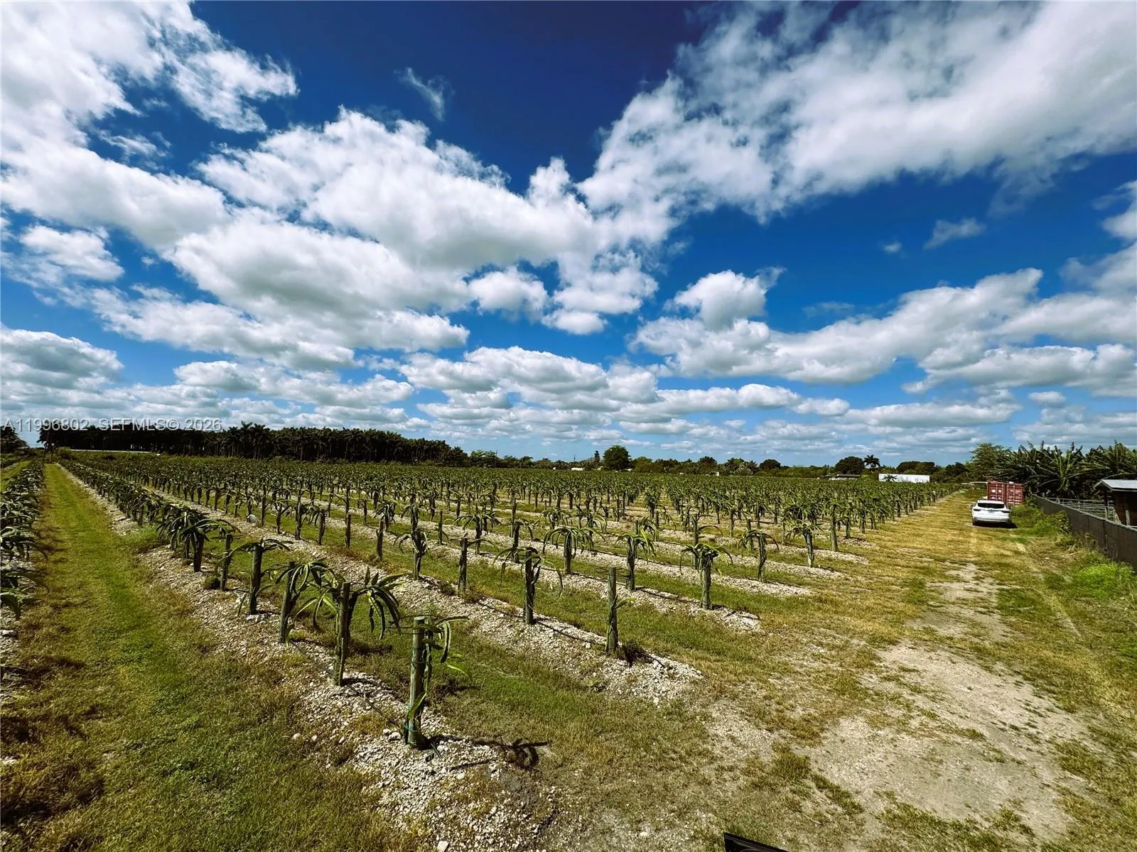 152xx Sw 197th Ave, Miami, Florida 33196, Miami, Florida 33196, ,Land,For Sale,152xx Sw 197th Ave, Miami, Florida 33196,A11996802