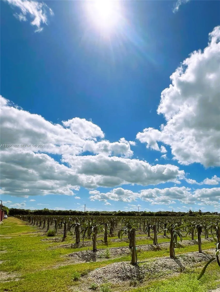 152xx Sw 197th Ave, Miami, Florida 33196, Miami, Florida 33196, ,Land,For Sale,152xx Sw 197th Ave, Miami, Florida 33196,A11996802