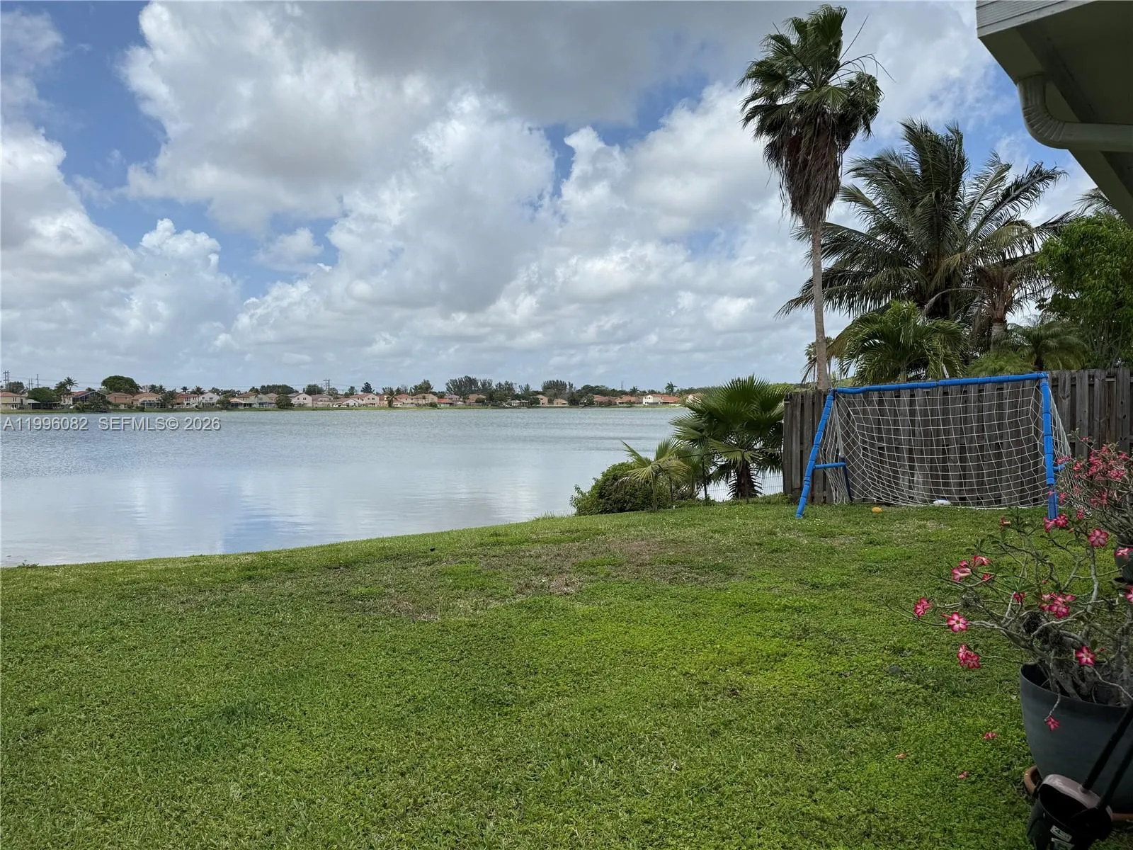 Yard & Lake
