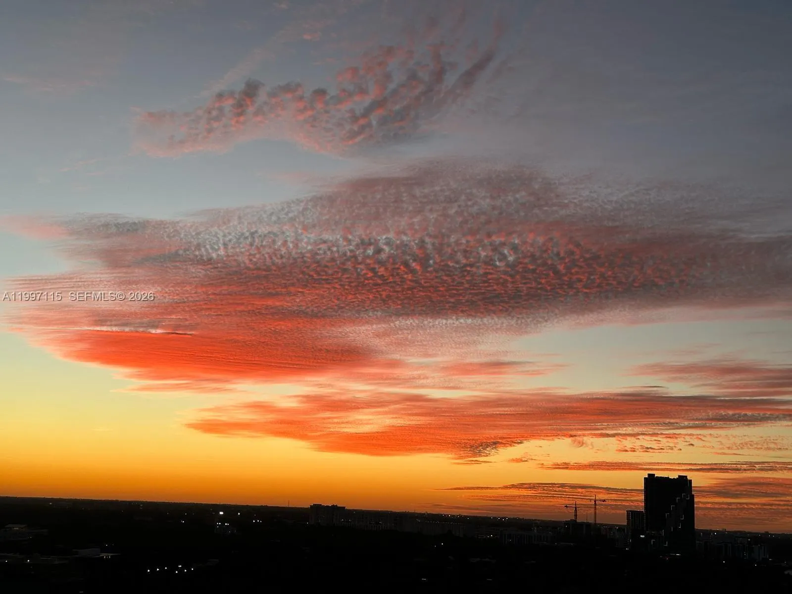 2678 Tigertail Ave 1505, Miami, Florida 33133, Miami, Florida 33133, 2 Bedrooms Bedrooms, ,2 BathroomsBathrooms,Residential Lease,For Rent,2678 Tigertail Ave 1505, Miami, Florida 33133,A11997115