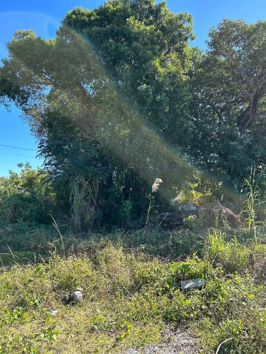 21820 Sw 112th Ct, Unincorporated Dade, Florida 33, Unincorporated Dade, Florida 33170, ,Land,For Sale,21820 Sw 112th Ct, Unincorporated Dade, Florida 33,A11995232