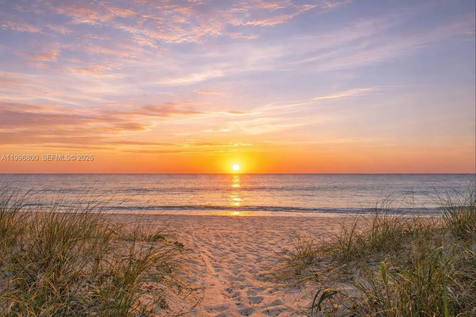 1800 S Ocean Blvd 703, Lauderdale By The Sea, Flor, Lauderdale By The Sea, Florida 33062, 2 Bedrooms Bedrooms, ,2 BathroomsBathrooms,Residential,For Sale,1800 S Ocean Blvd 703, Lauderdale By The Sea, Flor,A11996800