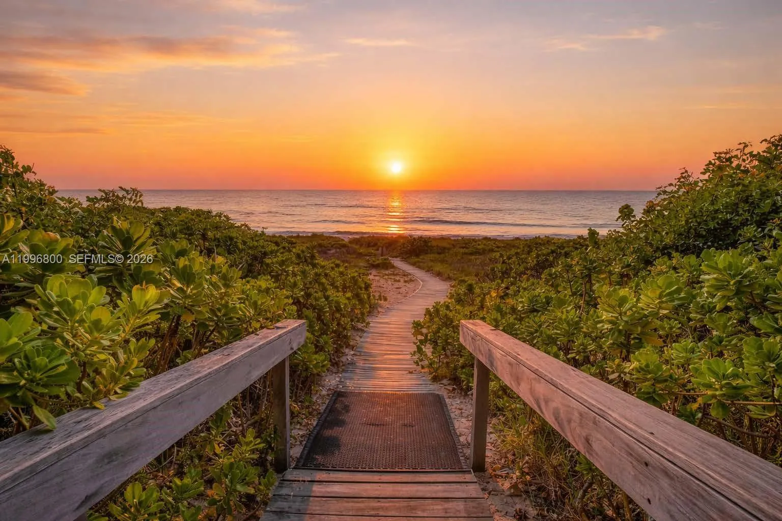 Sunrise