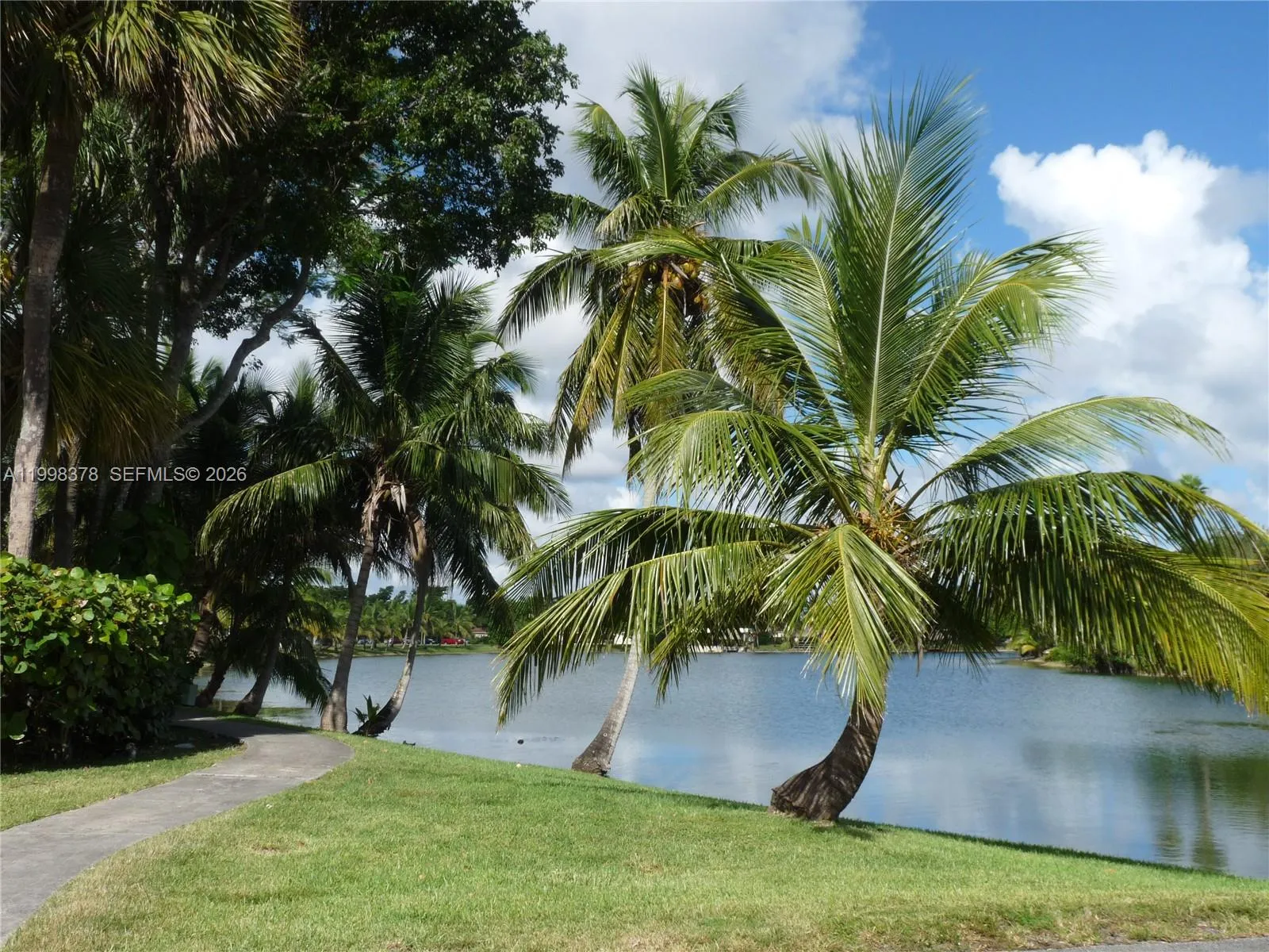 14525 N Kendall Dr 102j, Miami, Florida 33186, Miami, Florida 33186, 2 Bedrooms Bedrooms, ,2 BathroomsBathrooms,Residential Lease,For Rent,14525 N Kendall Dr 102j, Miami, Florida 33186,A11998378