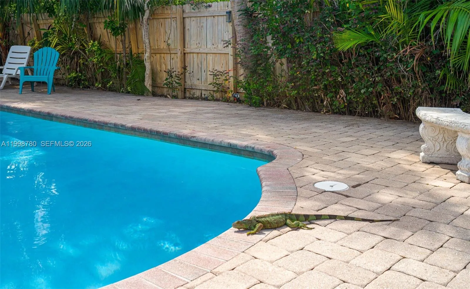 2033 Ne 33rd Ave 2, Fort Lauderdale, Florida 33305, Fort Lauderdale, Florida 33305, 1 Bedroom Bedrooms, ,1 BathroomBathrooms,Residential Lease,For Rent,2033 Ne 33rd Ave 2, Fort Lauderdale, Florida 33305,A11998780