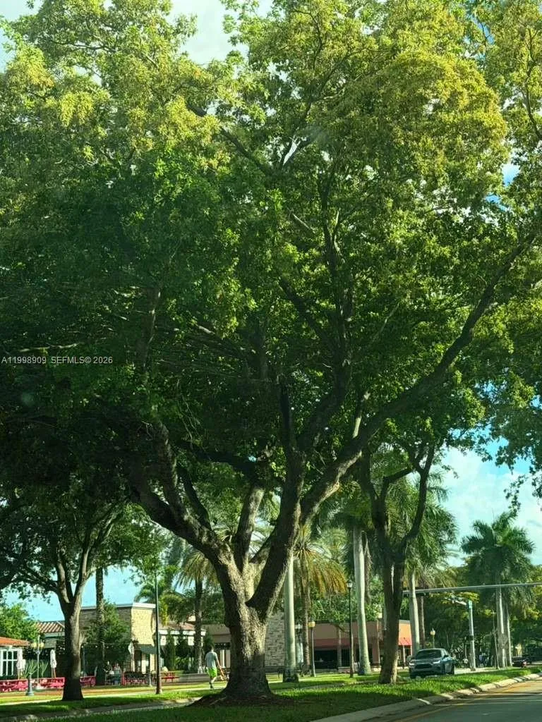 15515 N Miami Lakeway N 202-11, Miami Lakes, Flori, Miami Lakes, Florida 33014, 2 Bedrooms Bedrooms, ,2 BathroomsBathrooms,Residential Lease,For Rent,15515 N Miami Lakeway N 202-11, Miami Lakes, Flori,A11998909