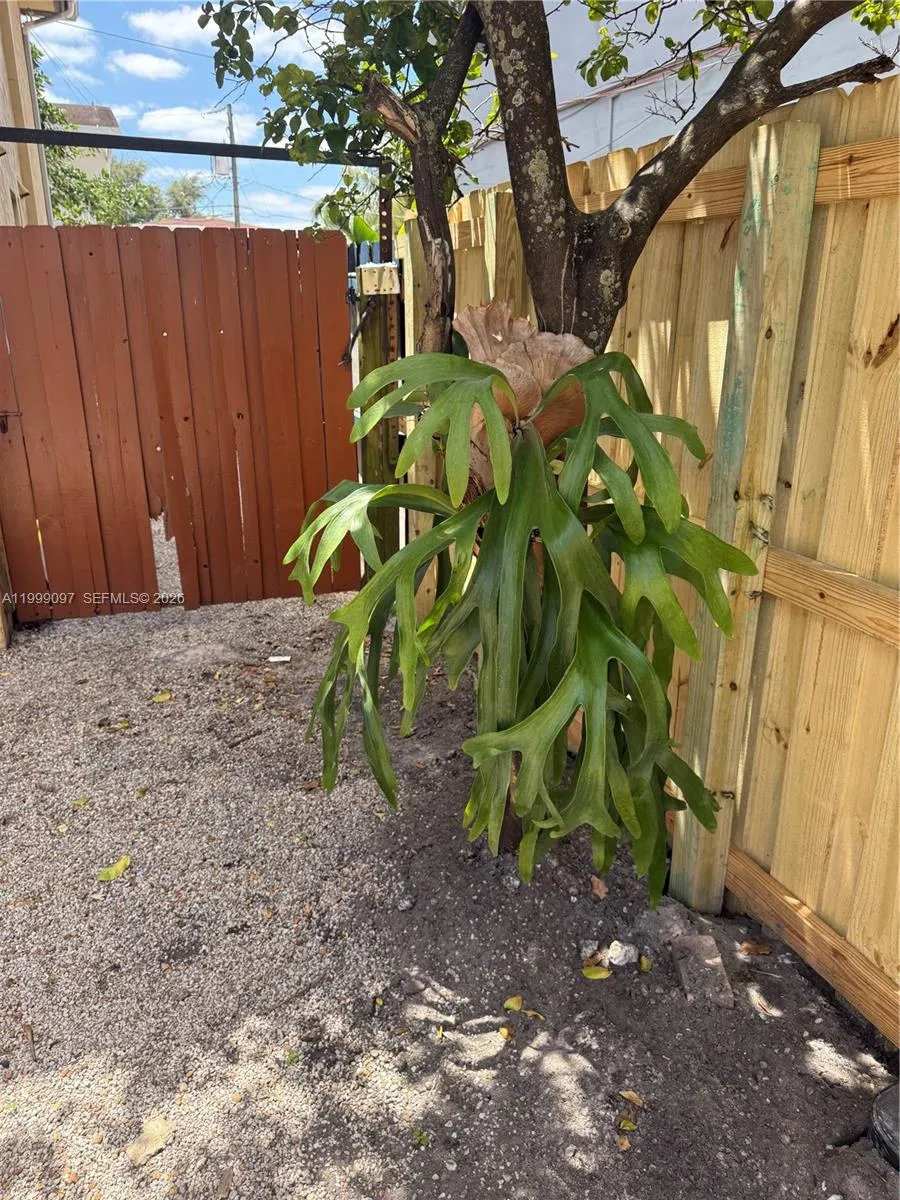 128 W 21st St 202, Hialeah, Florida 33010, Hialeah, Florida 33010, 2 Bedrooms Bedrooms, ,1 BathroomBathrooms,Residential Lease,For Rent,128 W 21st St 202, Hialeah, Florida 33010,A11999097