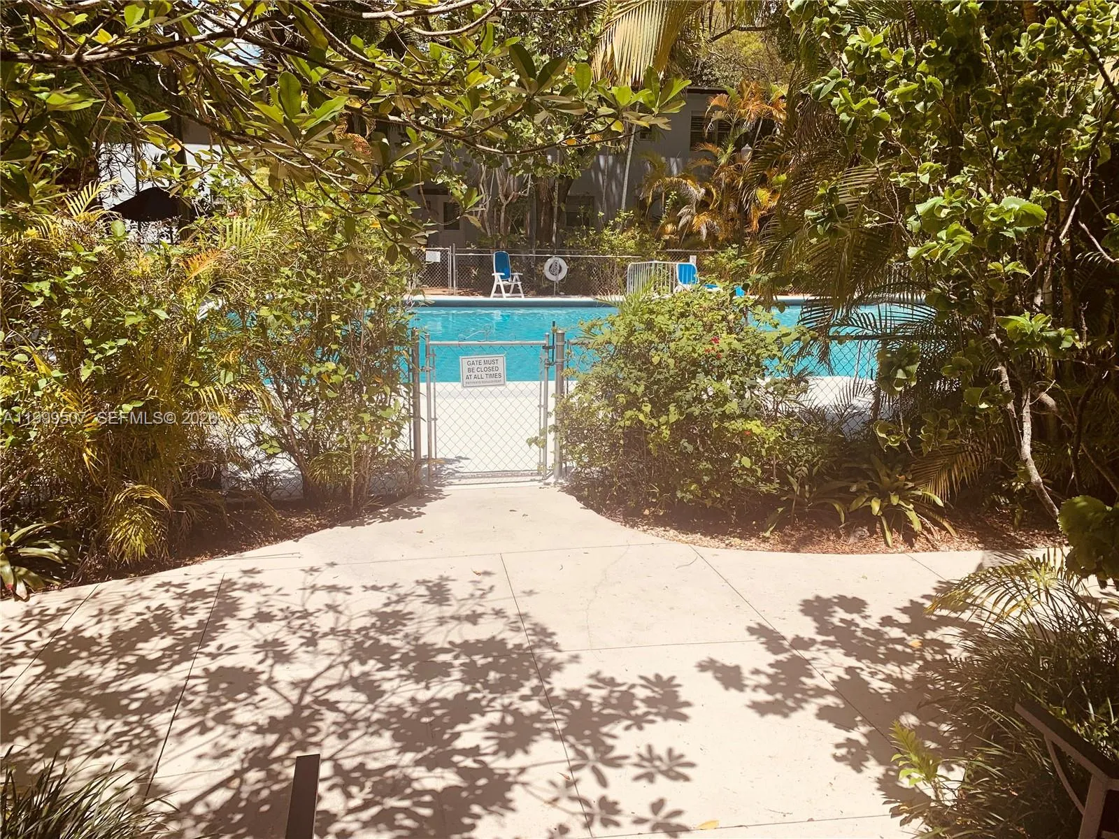 View from backdoor