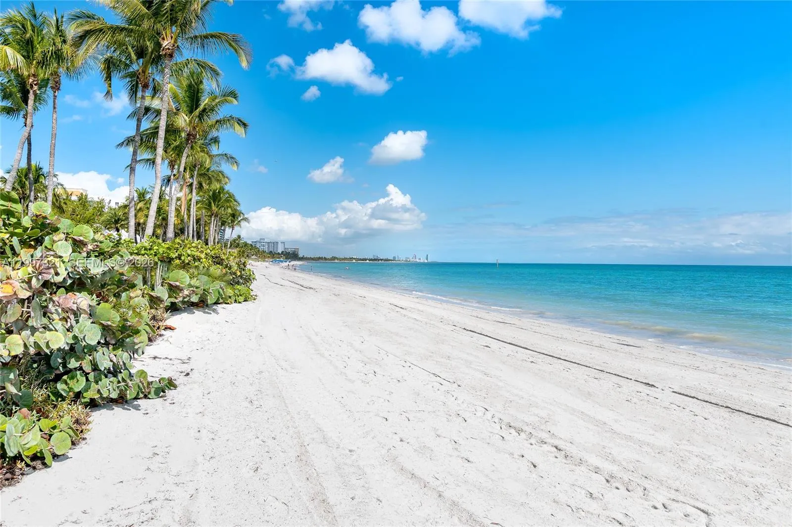 791 Crandon Blvd 405, Key Biscayne, Florida 33149, Key Biscayne, Florida 33149, 3 Bedrooms Bedrooms, ,4 BathroomsBathrooms,Residential,For Sale,791 Crandon Blvd 405, Key Biscayne, Florida 33149,A11997321