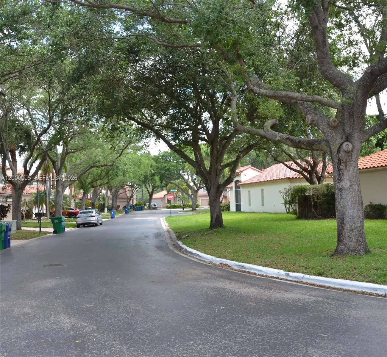 Tree lined streets