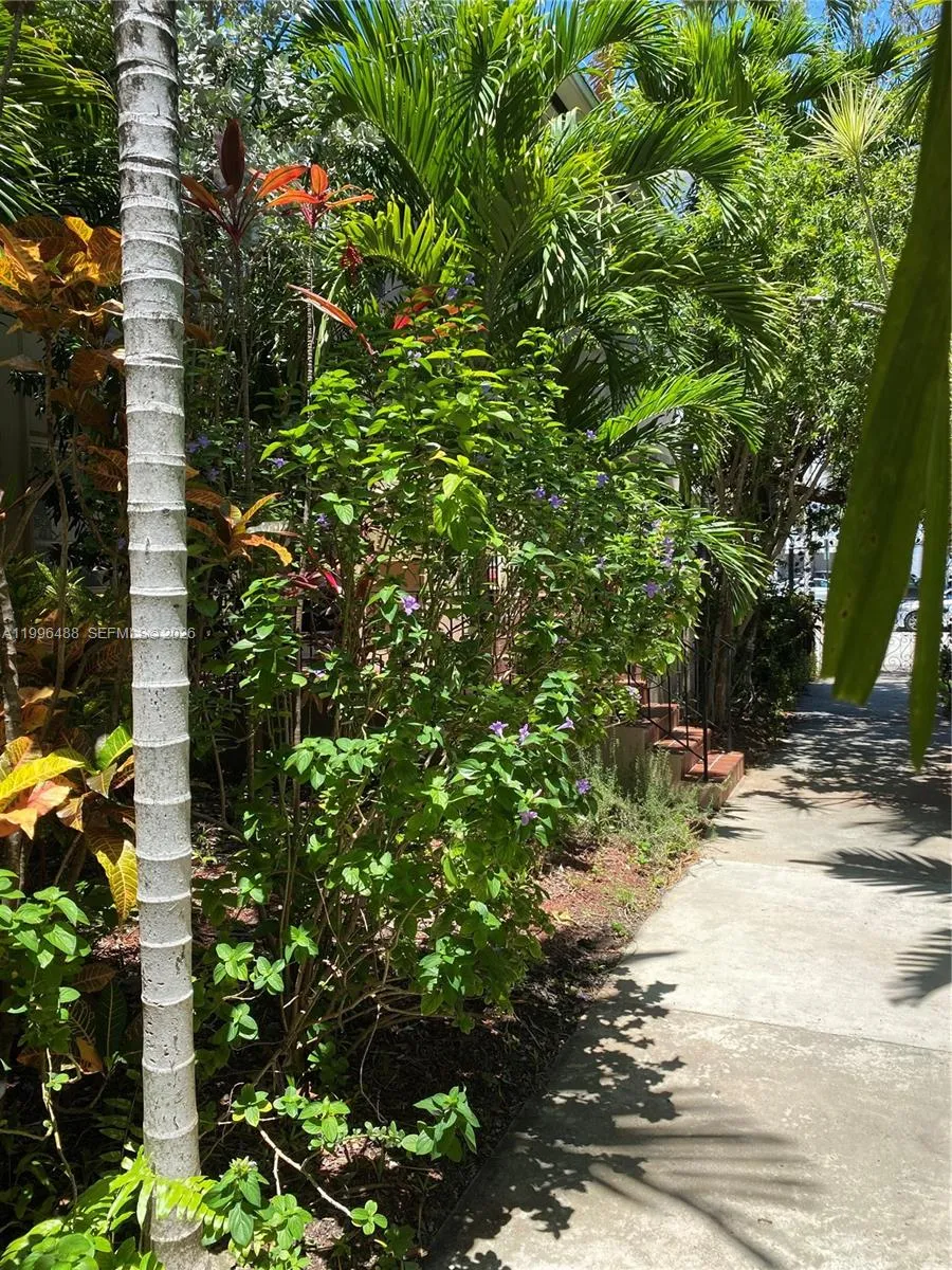 40 Almeria Ave 16, Coral Gables, Florida 33134, Coral Gables, Florida 33134, 1 Bedroom Bedrooms, ,1 BathroomBathrooms,Residential Lease,For Rent,40 Almeria Ave 16, Coral Gables, Florida 33134,A11996488