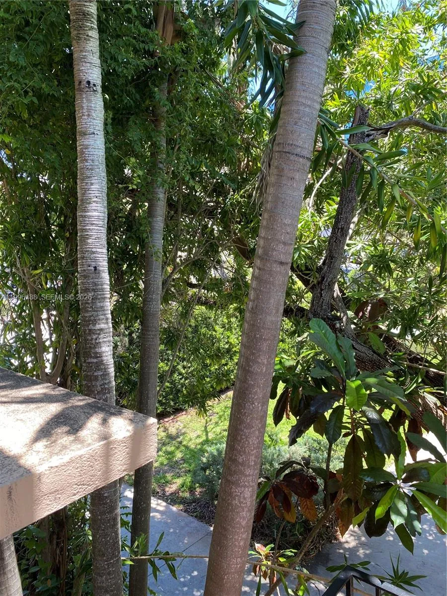 40 Almeria Ave 16, Coral Gables, Florida 33134, Coral Gables, Florida 33134, 1 Bedroom Bedrooms, ,1 BathroomBathrooms,Residential Lease,For Rent,40 Almeria Ave 16, Coral Gables, Florida 33134,A11996488