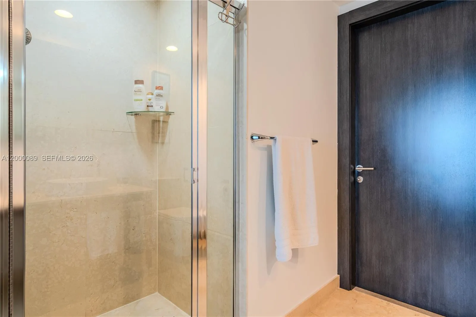 Guest bathroom full shower