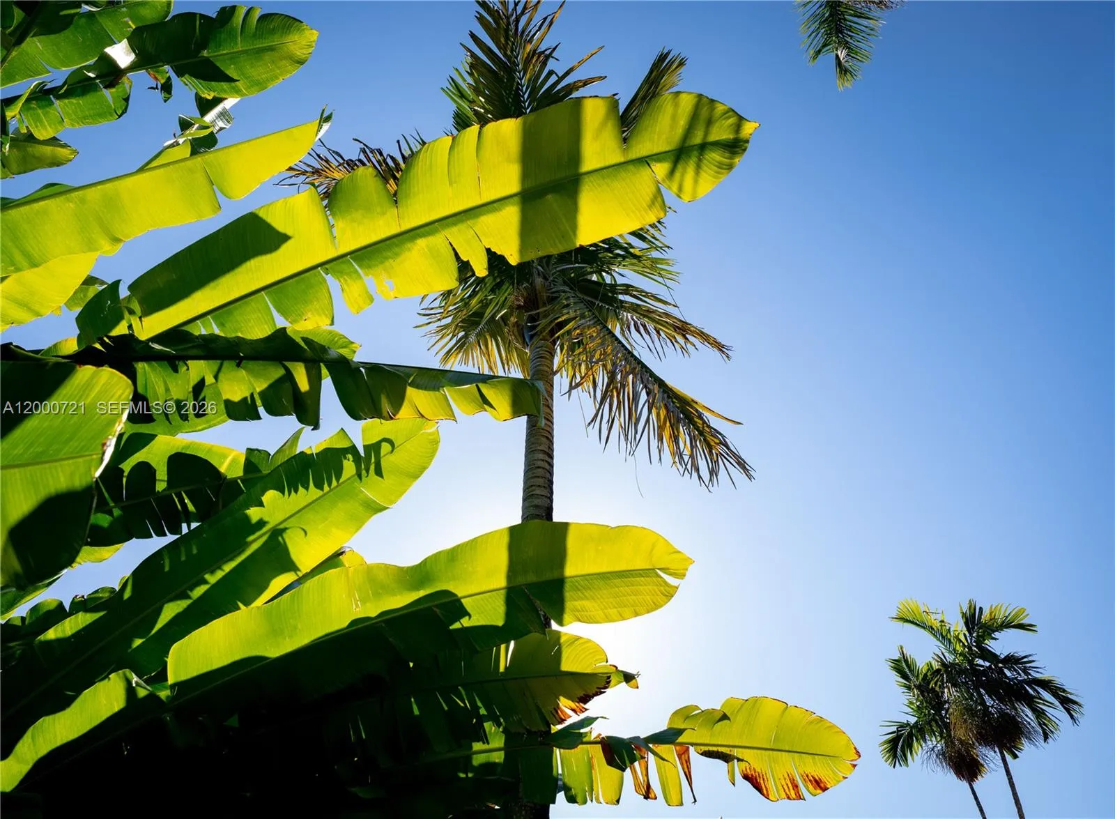 4867 Sw 82nd St, Miami, Florida 33143, Miami, Florida 33143, ,Land,For Sale,4867 Sw 82nd St, Miami, Florida 33143,A12000721