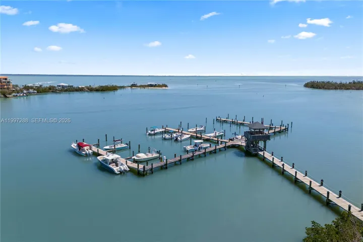 Safety Harbor Club - lots of different types of memberships including a social membership are available!
