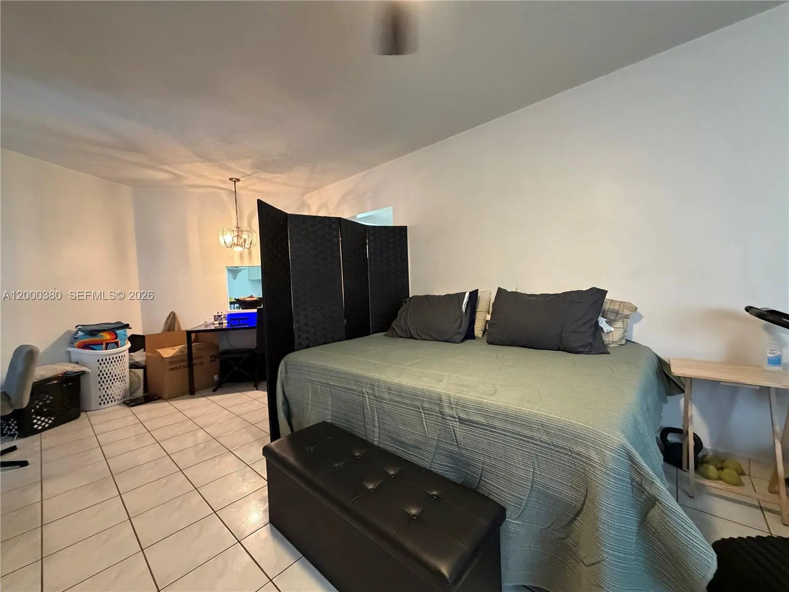 Living room or Bedroom