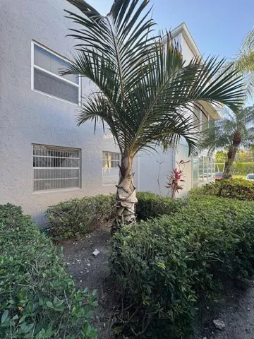 View from outside