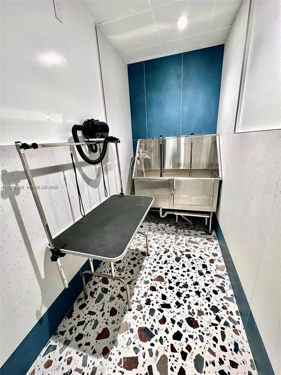 Dog Spa