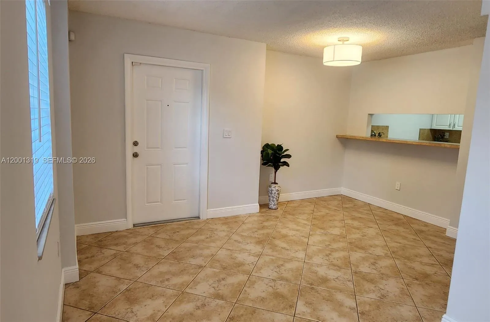 Entrance/Dinning area
