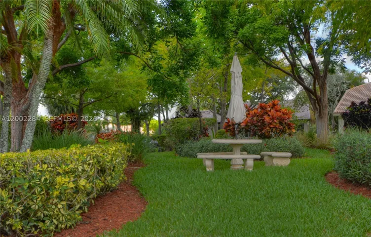 Yard