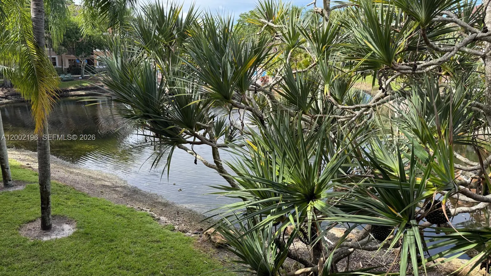 8871 Wiles Rd 208, Coral Springs, Florida 33067, Coral Springs, Florida 33067, 3 Bedrooms Bedrooms, ,2 BathroomsBathrooms,Residential Lease,For Rent,8871 Wiles Rd 208, Coral Springs, Florida 33067,A12002196