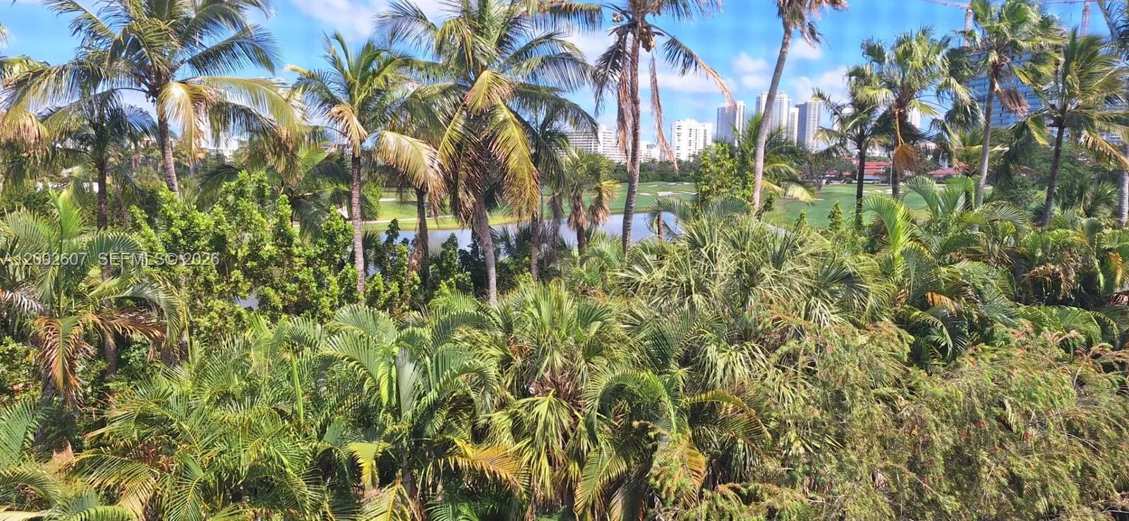 700 Ne 14th Ave 407, Hallandale Beach, Florida 330, Hallandale Beach, Florida 33009, 1 Bedroom Bedrooms, ,1 BathroomBathrooms,Residential,For Sale,700 Ne 14th Ave 407, Hallandale Beach, Florida 330,A12002607