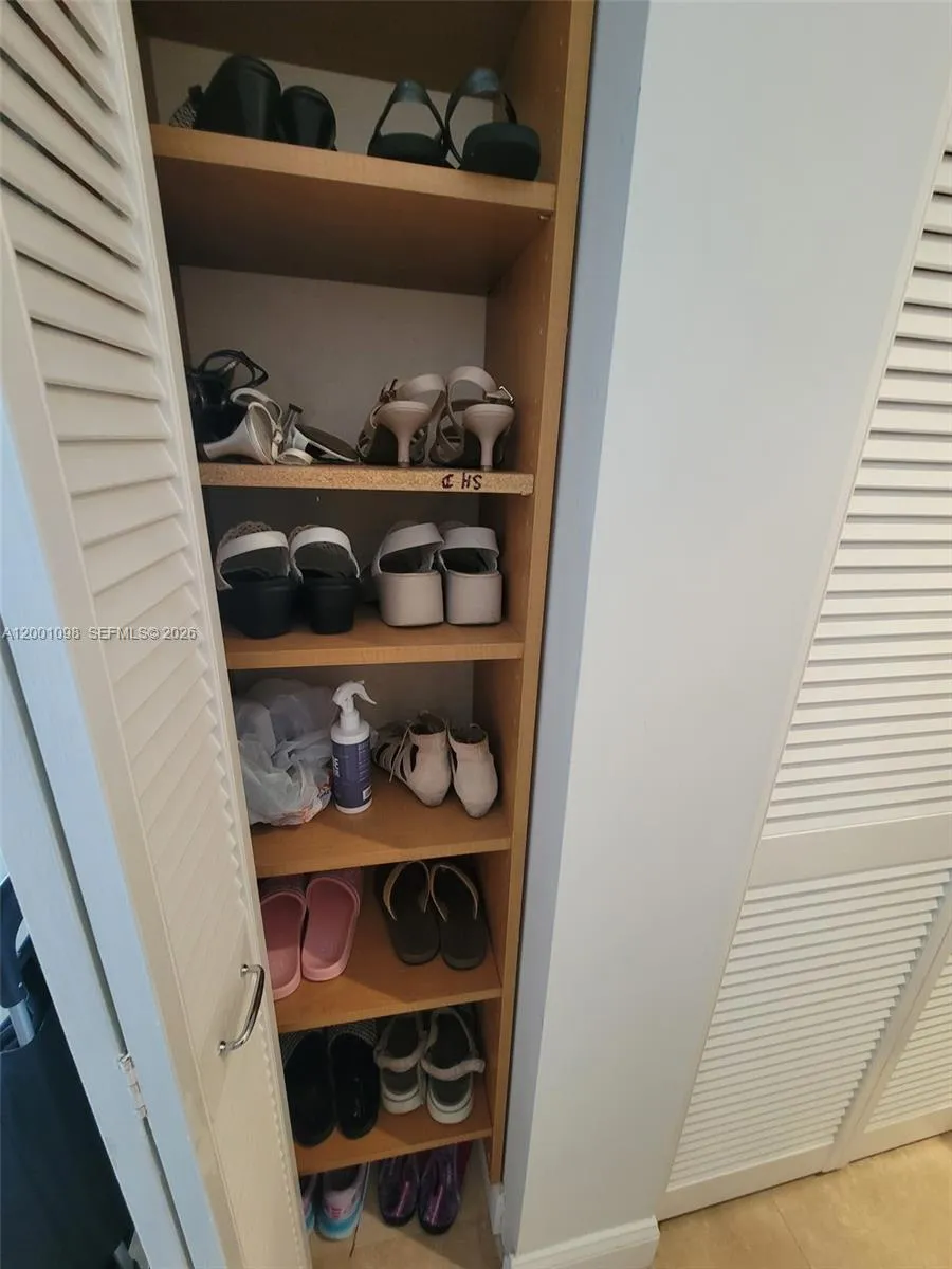 Entrance/Foyer CLoset