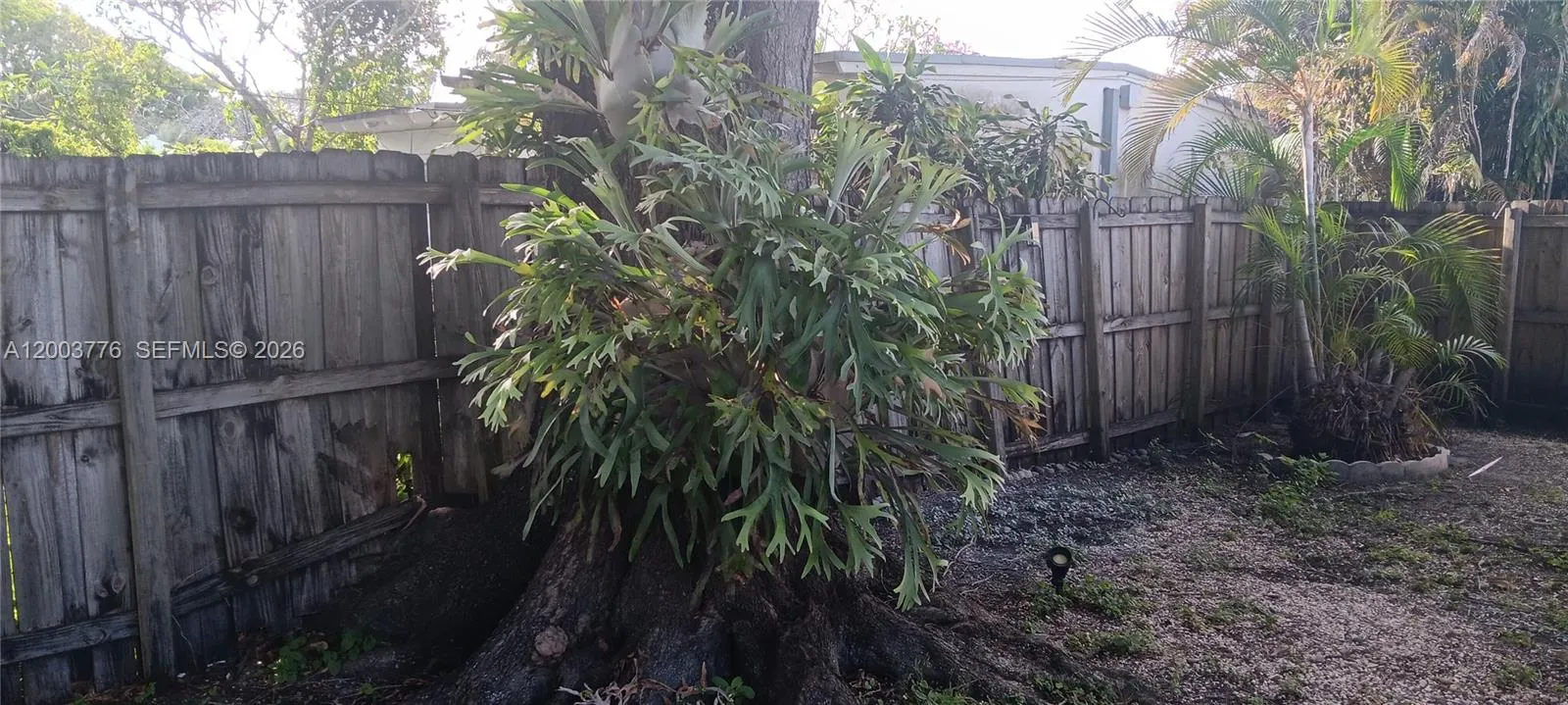 1600 Sw 14th St, Fort Lauderdale, Florida 33312, Fort Lauderdale, Florida 33312, 2 Bedrooms Bedrooms, ,1 BathroomBathrooms,Residential Lease,For Rent,1600 Sw 14th St, Fort Lauderdale, Florida 33312,A12003776